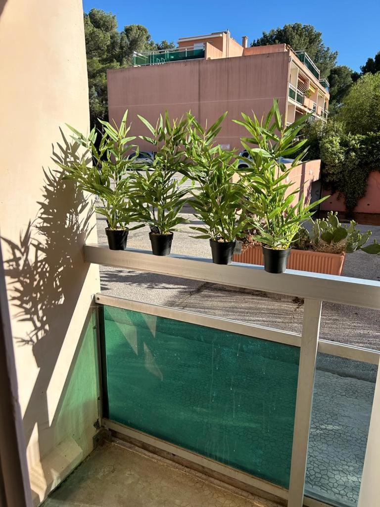 Studio Meuble Bord De Mer Bormes-les-Mimosas Esterno foto